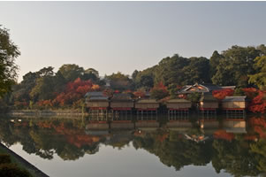 NAGAOKAKYO1.jpg