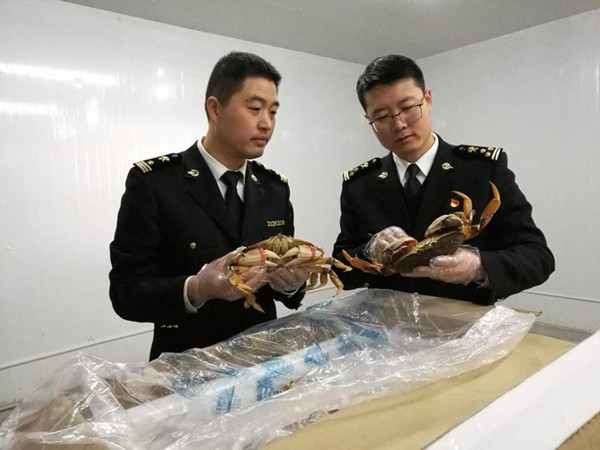 海关.jpg