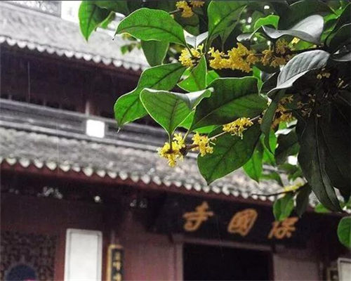 2_副本.jpg