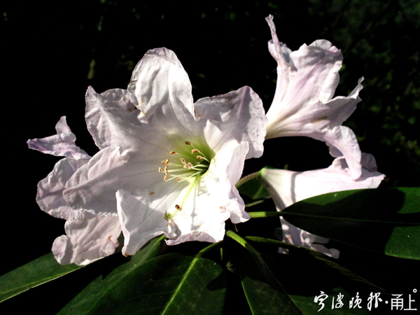 12_副本.jpg
