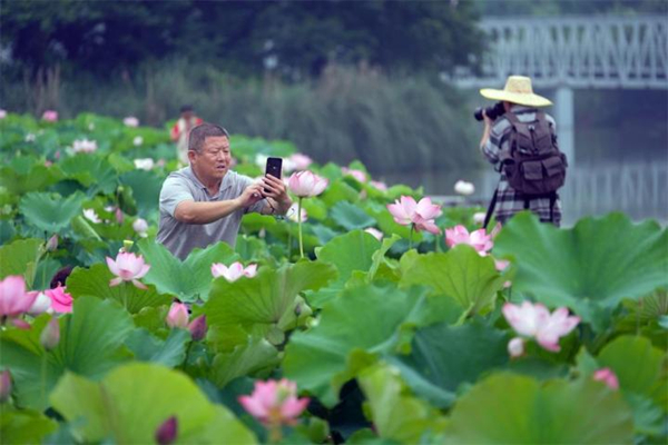 2_副本.jpg