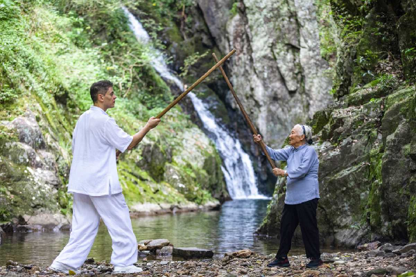 kungfu.png