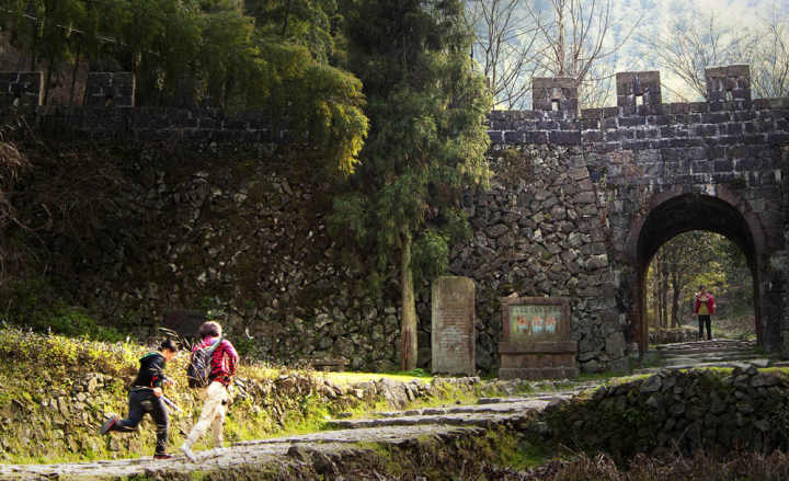 1646366710322082784.jpeg pass.jpeg