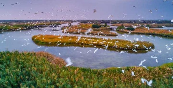 hangzhouwan3(1).jpg