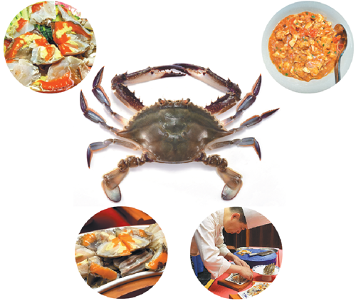 651a316ea310d2dc6d28d57f.png