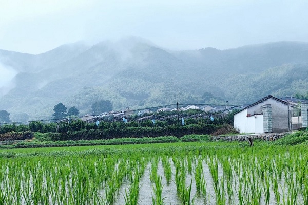 Small tourism train: Connecting villages and heading to innovation