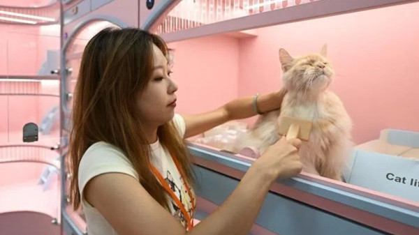 1761732513465046536.jpg 888_副本.jpg