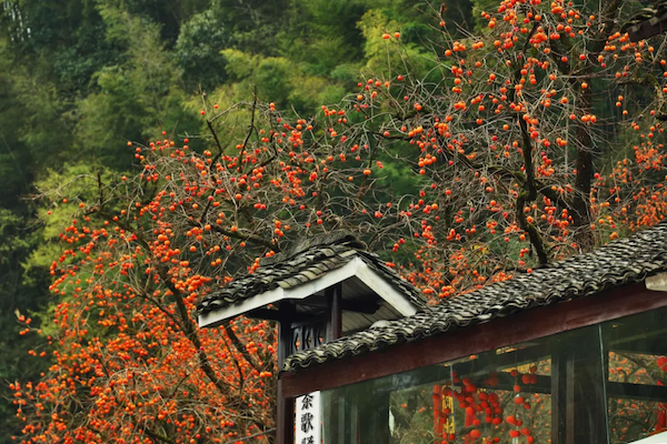 1762160730413042241.png b8c74a93-8448-4cc6-81e7-e5a1f4be166a.png