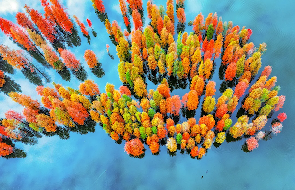 1762160751012056227.png c32bb122-dd90-44ab-87b1-3d2022df1365.png