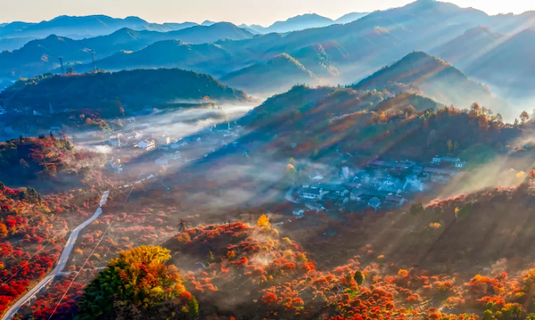 1762160762774024635.png 9aa891ce-d526-4823-905b-403703a0b525.png