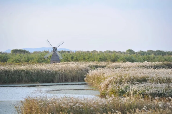 1762160769831019923.png 63bfaa61-a59b-4a74-9475-c44137cb2577.png