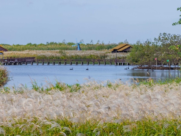 1762246536496079304.jpg d7382fc9-ca87-4741-8765-1cbd9554bc10.jpg