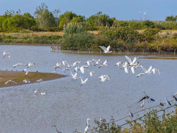 1762246576275001711.jpg 9bbeef62-f4b2-4fd7-bbd0-2ed5fb9fed2b.jpg