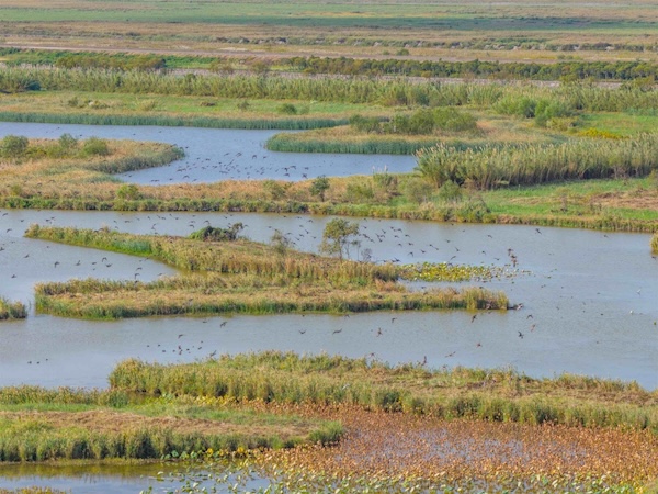 1762246616955048559.jpg d2e6192c-9e11-4c96-a72c-f2b62a34eb04.jpg