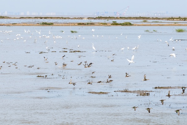 1762329733411061997.jpg 2419081286725533831_副本.jpg