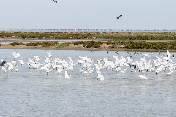 1762329740527032142.jpg 2419081286725533735_副本.jpg