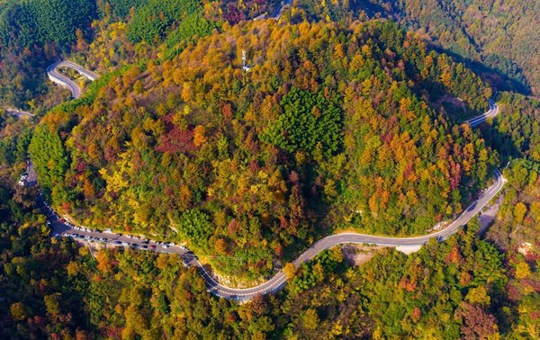 646305a8-cc9c-4b18-9f43-0a46499ea2e5size_w_6144_h_3870 (1).jpg