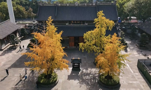 1764239868028066648.jpg 1_副本.jpg