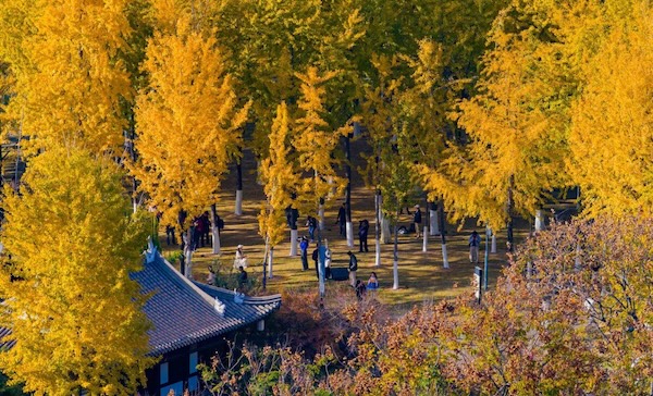 1764580037574088380.jpg acdb5b75-b0f1-460d-8e23-dac099abbb06.jpg