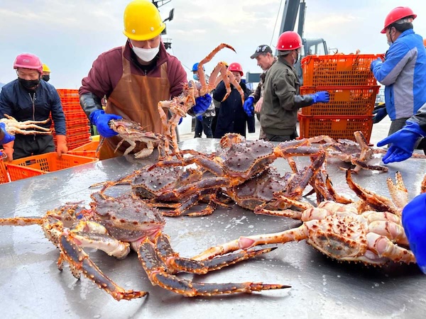 1765359024798062931.jpg a0257979-a8b4-4ac4-a146-9fa0e4f7f6e2size_w_4032_h_3024.jpg