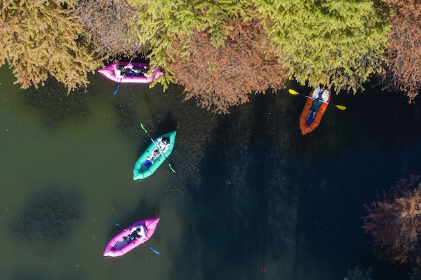 1766135031563081307.jpg 0c51d140-6e85-4ca7-a368-2ca4f95e5c67(2).jpg