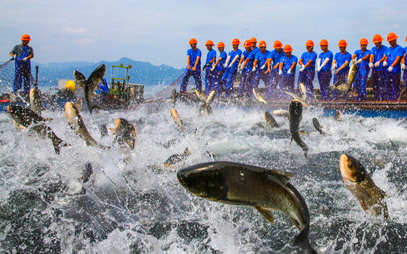 Celebrating Chinese Farmers' Harvest Festival
