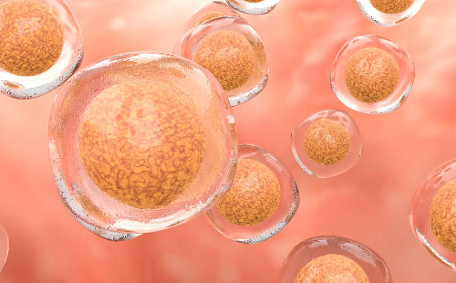 China records 17,000th bone marrow donor