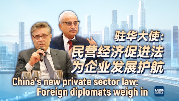 China's new private sector law: Foreign diplomats weigh in