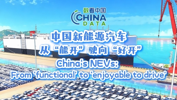 China's new energy vehicles: From 'functional' to 'enjoyable to drive'