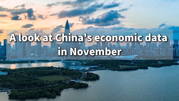 A look at China's economic data in November