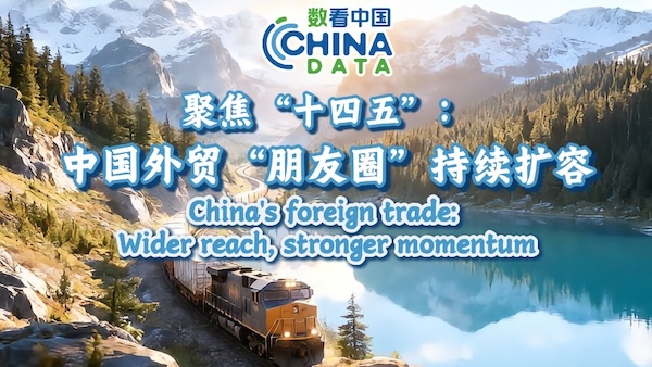 China's foreign trade: Wider reach, stronger momentum