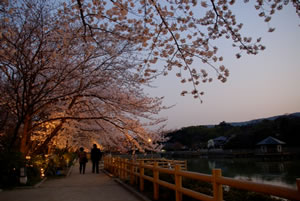 Nagaokakyo, Japan