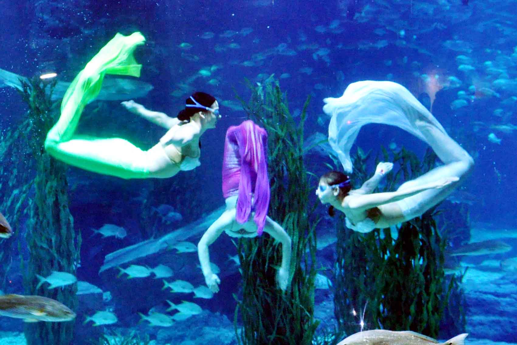 Ningbo Ocean Park