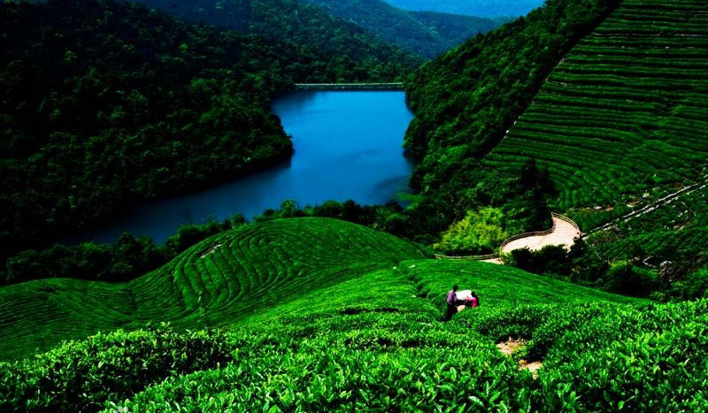 Fuquan Hill Scenic Area