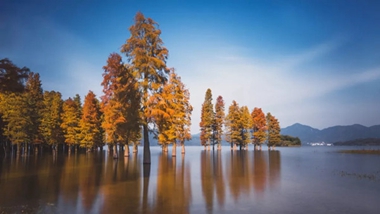 Where to enjoy the beautiful colors of autumn in Ningbo 