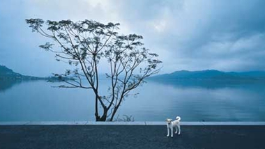 Dongqian Lake