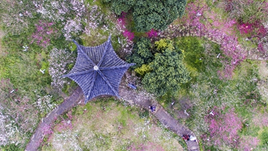 Great barbecue spots in Ningbo