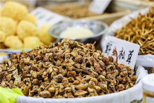 National food expo to open in Ningbo tomorrow