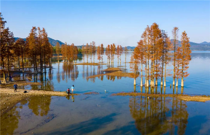 Recommended places to admire autumn views in Ningbo