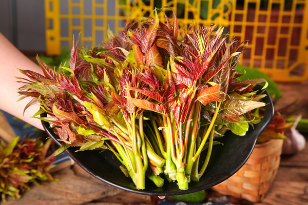Xiangchun: a seasonal cuisine in early spring