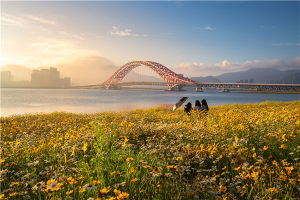 Headquarters economy in Ningbo gains traction 