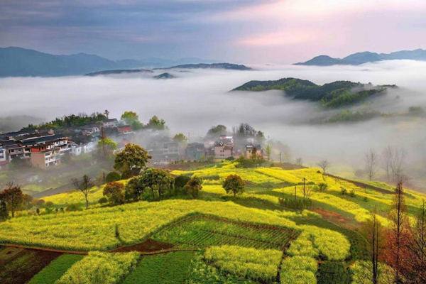 Road brings prosperity to mountainous Ningbo village