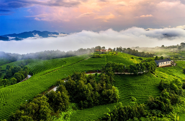 In pics: Captivating views of Ninghai