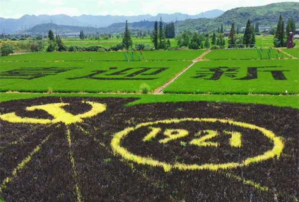 ​Farmers create rice paddy art to mark CPC centenary