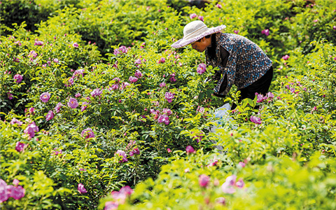 Zhejiang to model 'common prosperity' as pilot zone