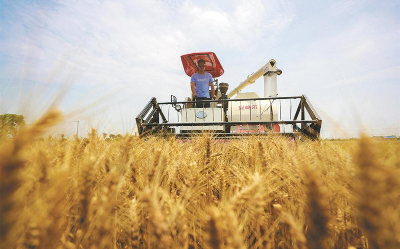 Agricultural progress puts nation on solid footing