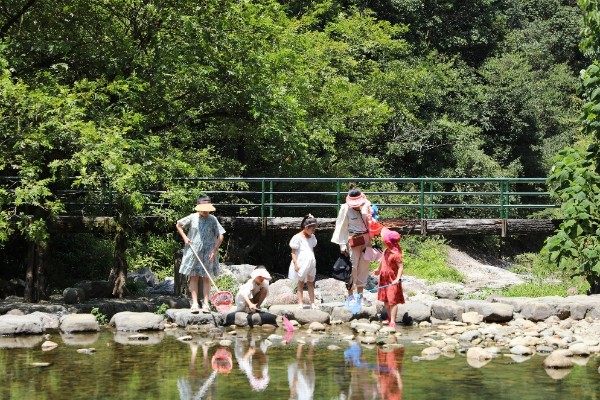 A village's green path to common prosperity