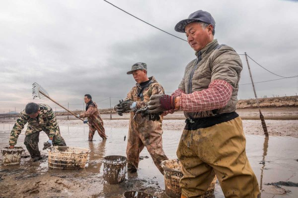 In pics: Crab harvest season arrives in Ningbo