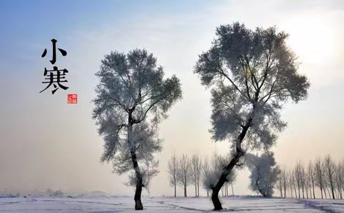 24 Solar Terms: 5 things you may not know about Minor Cold