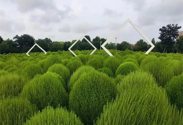 Ningbo Botanical Garden: A year-round floral paradise